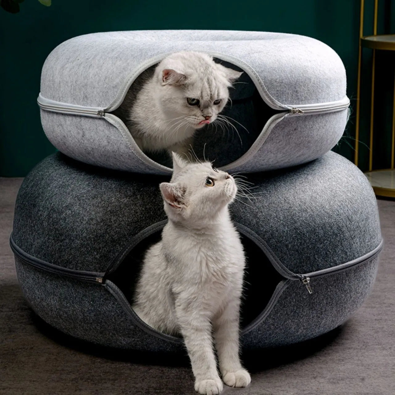 Purrfect Cat Den