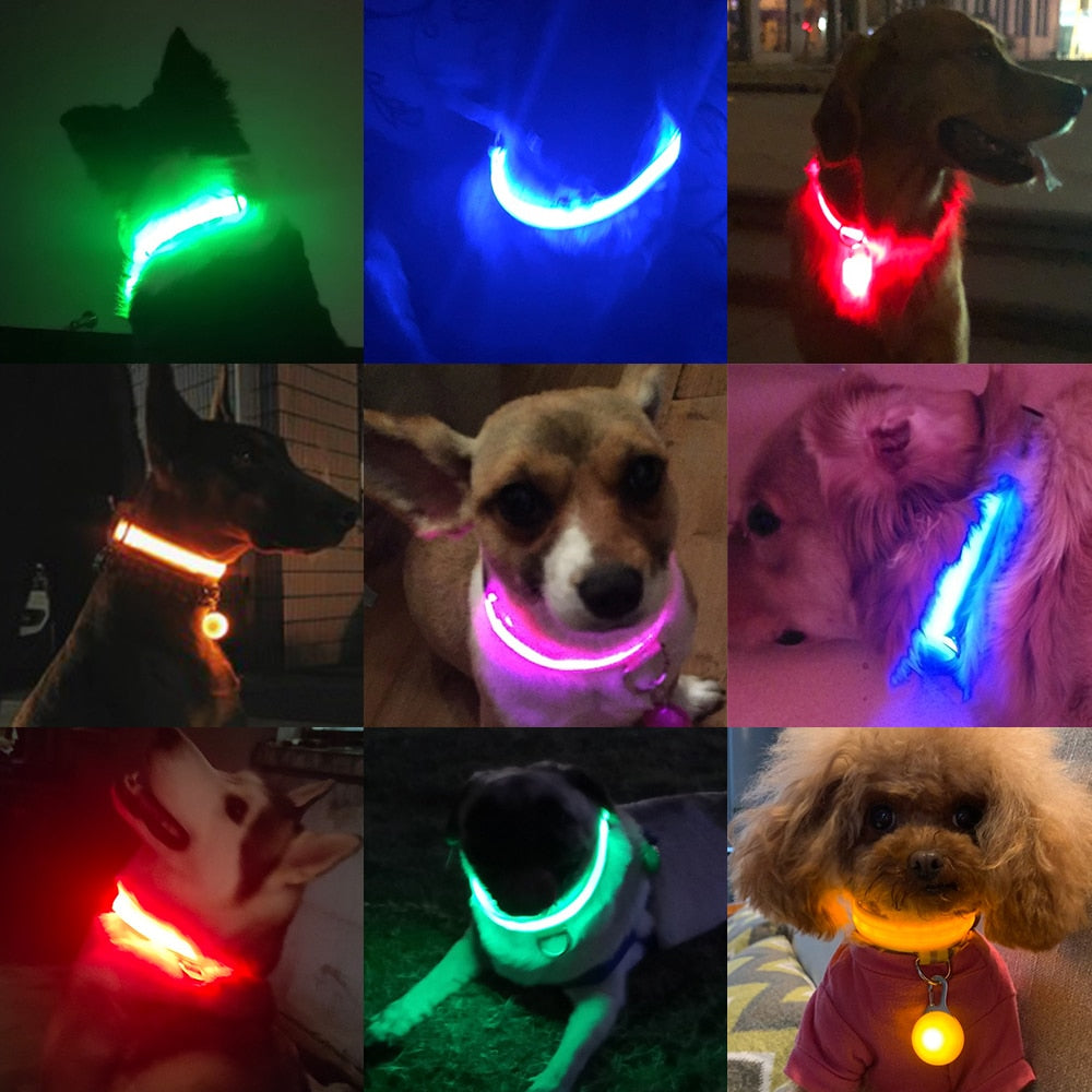 Flashing LED Dog Collar