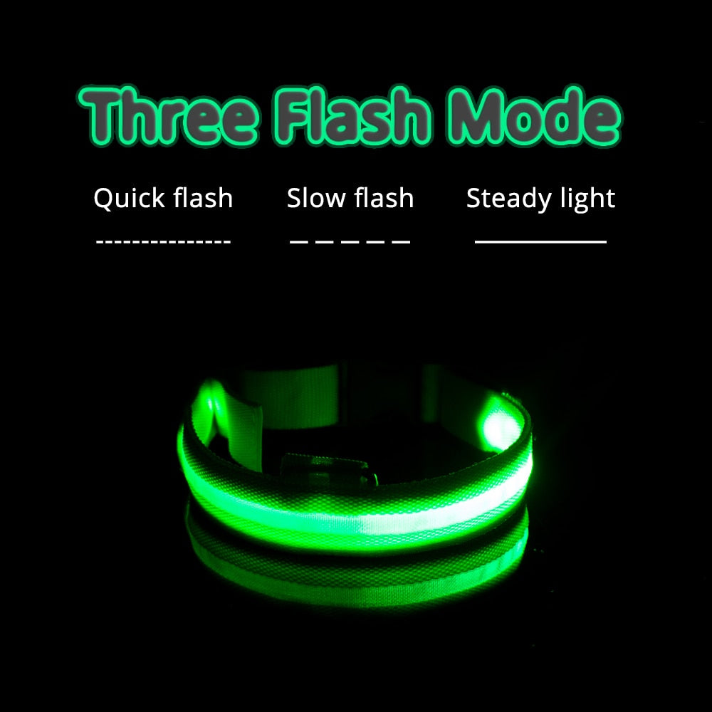 Flashing LED Dog Collar