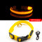 Flashing LED Dog Collar