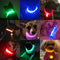 Flashing LED Dog Collar