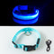 Flashing LED Dog Collar