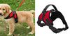 Adjustable Dog Vest Harness